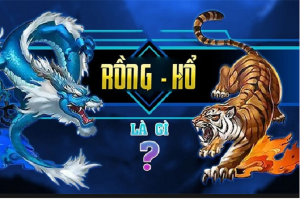 Đôi nét giới thiệu về Rồng Hổ HD88