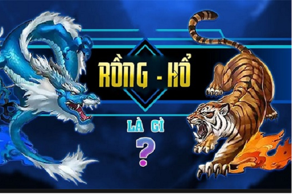 Đôi nét giới thiệu về Rồng Hổ HD88